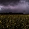Avertizare ANM, COD GALBEN de furtuni și ploi torențiale! Zonele din Cluj afectate de fenomene meteo extreme